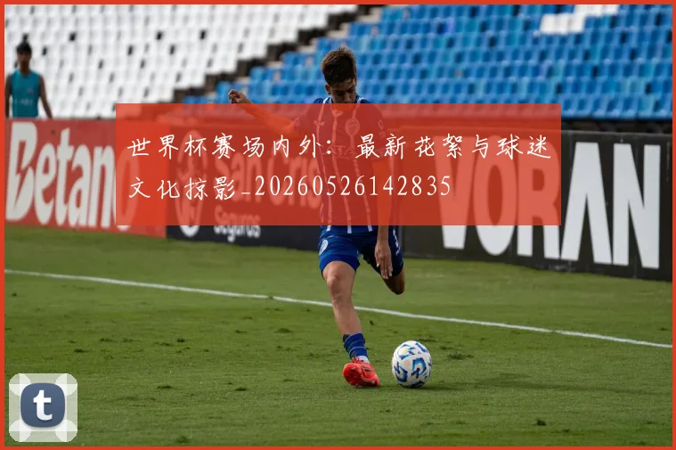 世界杯赛场内外:最新花絮与球迷文化掠影_20260526142835